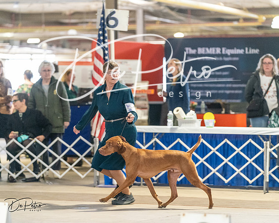 20240330-DSC08766