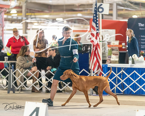 20240330-DSC08770