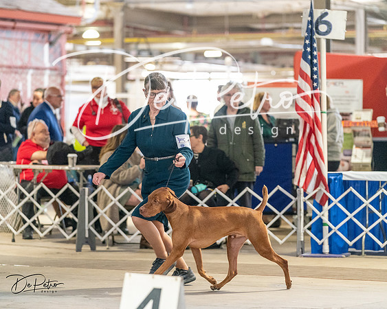 20240330-DSC08774