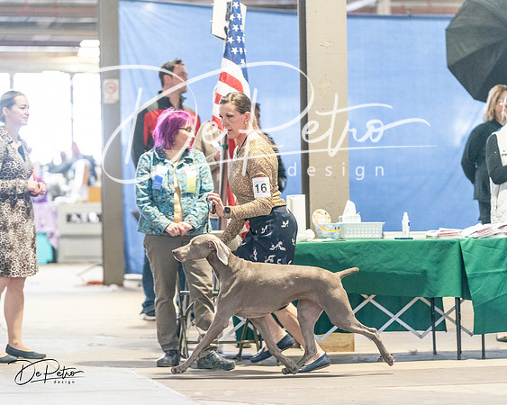 20240330-DSC08785