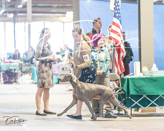 20240330-DSC08789