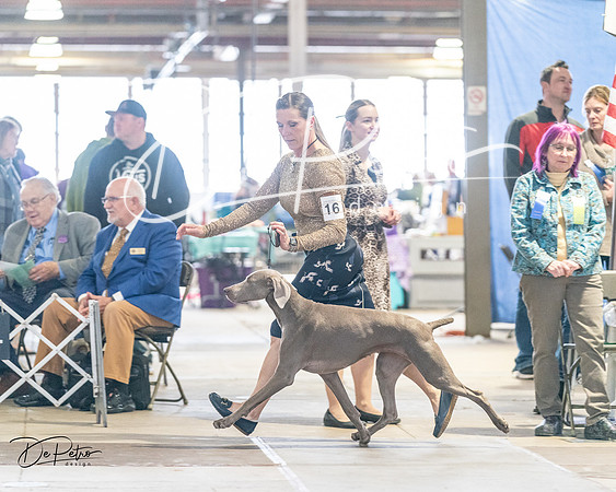 20240330-DSC08794