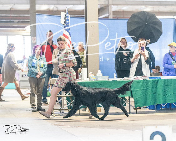 20240330-DSC08844