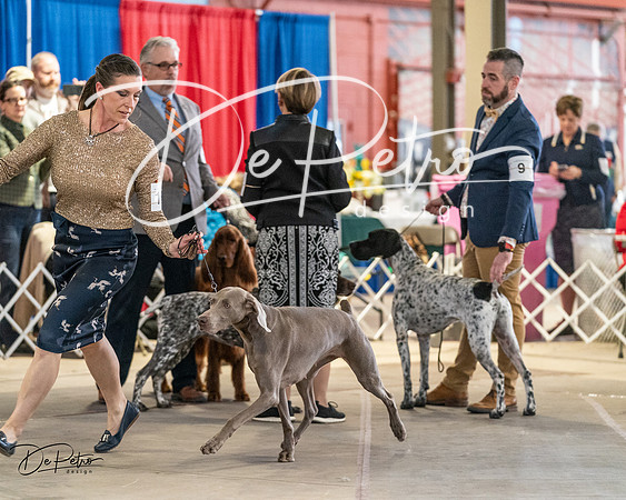 20240330-DSC08834