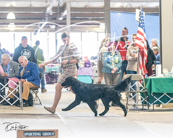 20240330-DSC08852