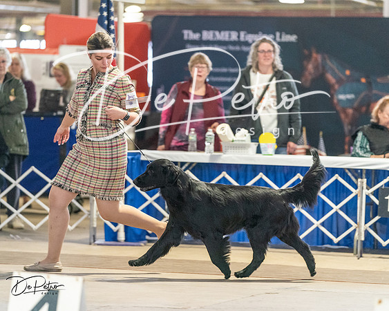 20240330-DSC08872