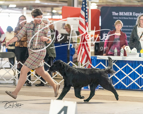 20240330-DSC08877