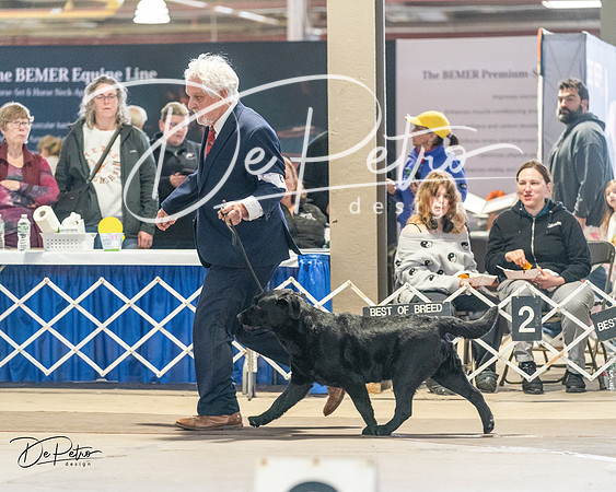 20240330-DSC08932