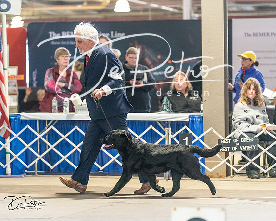 20240330-DSC08937