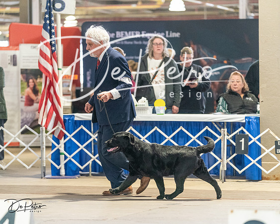 20240330-DSC08941