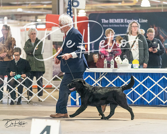 20240330-DSC08946