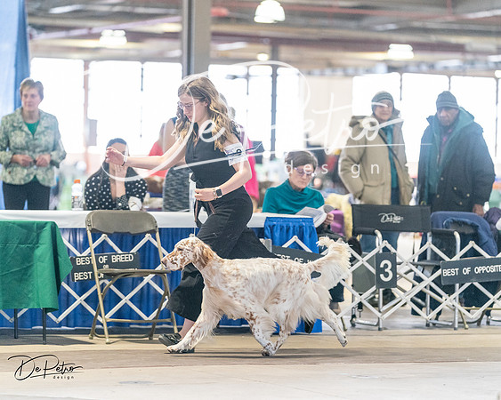 20240330-DSC08961