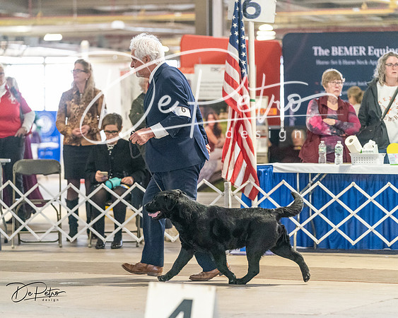 20240330-DSC08951