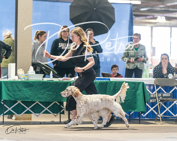 20240330-DSC08974