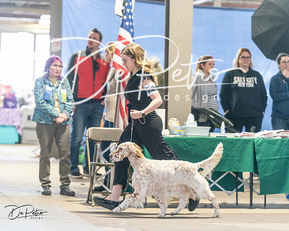20240330-DSC08982