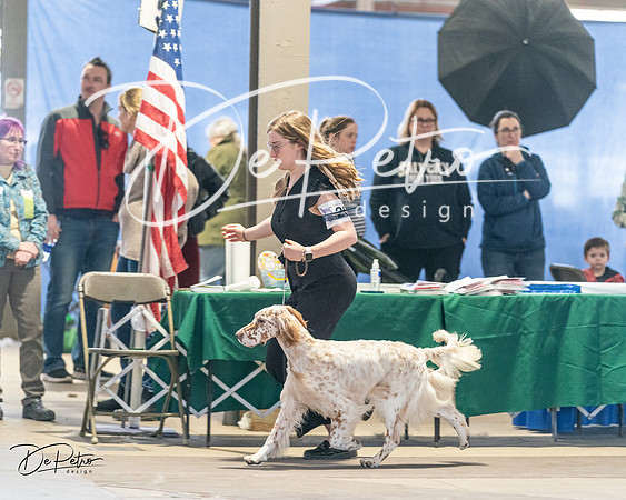 20240330-DSC08979