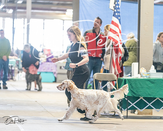20240330-DSC08987
