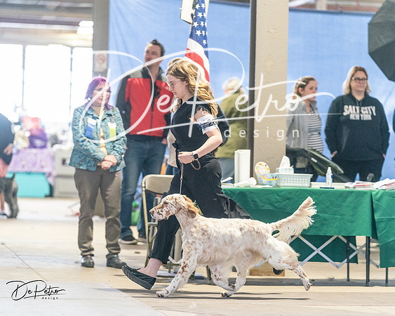 20240330-DSC08983