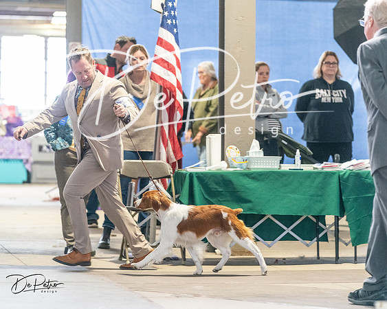 20240330-DSC08997