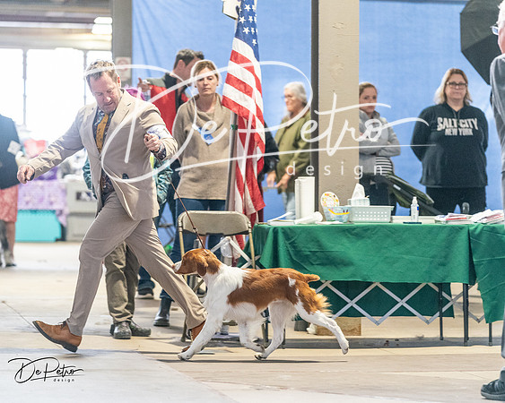 20240330-DSC08998