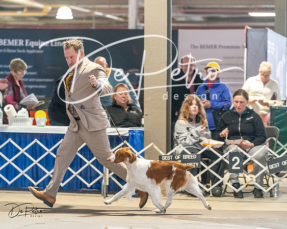 20240330-DSC09020