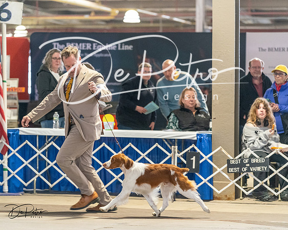20240330-DSC09024