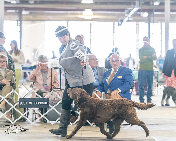 20240330-DSC09049