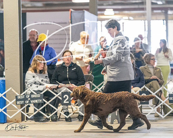 20240330-DSC09037