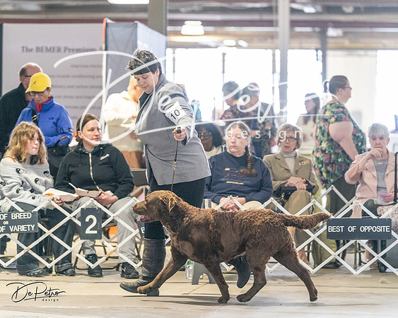 20240330-DSC09062
