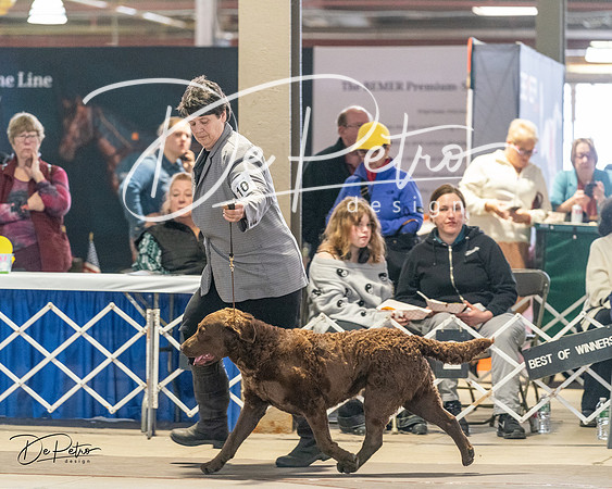 20240330-DSC09072