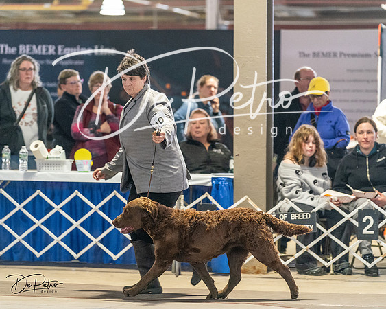 20240330-DSC09076