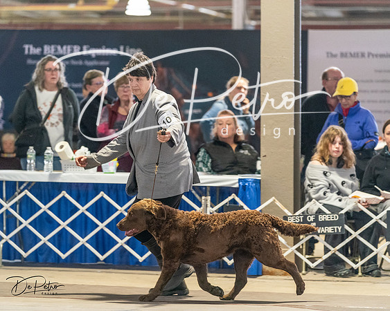 20240330-DSC09077