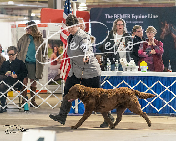 20240330-DSC09085