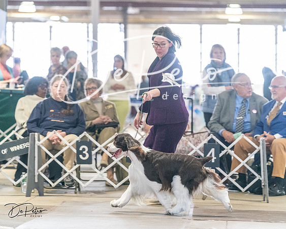 20240330-DSC09115