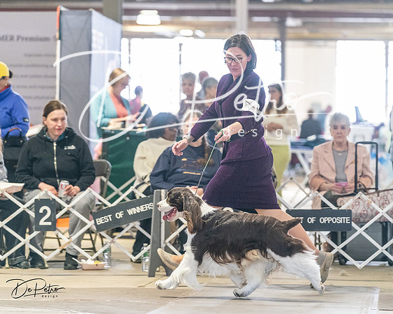 20240330-DSC09119