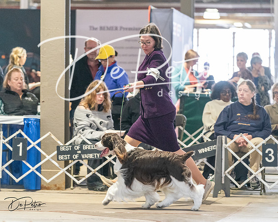 20240330-DSC09126