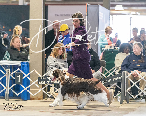 20240330-DSC09127
