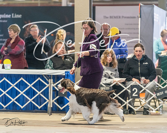 20240330-DSC09131