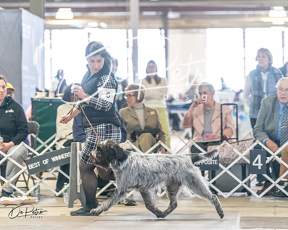 20240330-DSC09147