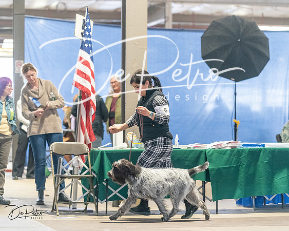 20240330-DSC09133
