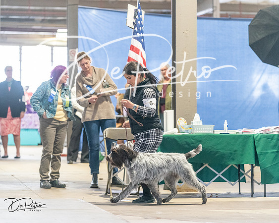 20240330-DSC09137