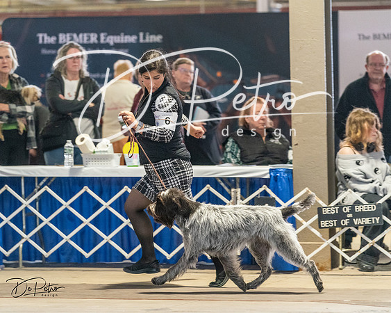 20240330-DSC09164