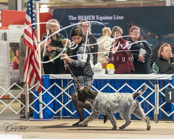 20240330-DSC09168