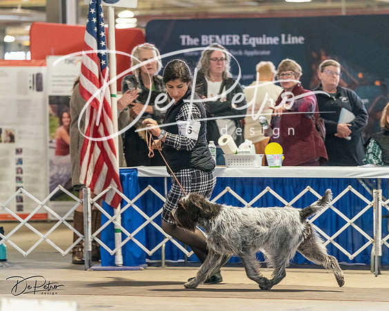 20240330-DSC09169