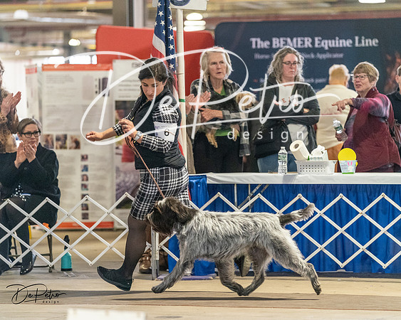 20240330-DSC09173