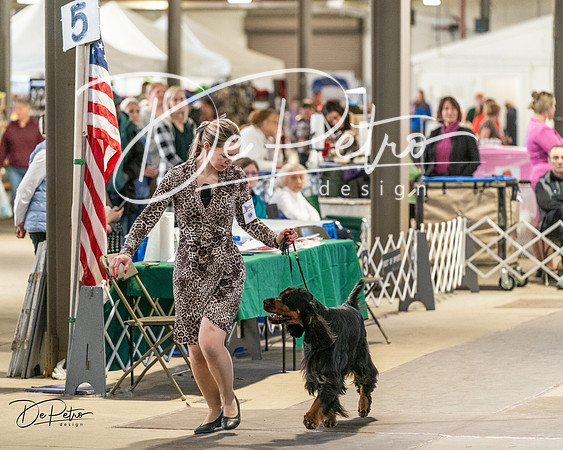 20240330-DSC09177