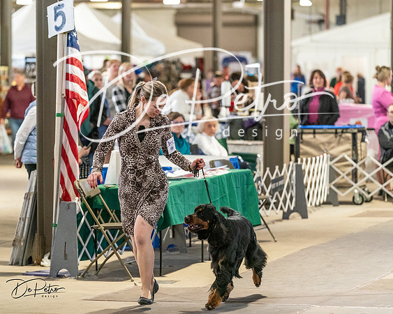 20240330-DSC09178
