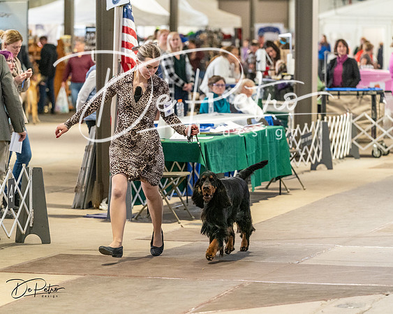20240330-DSC09186
