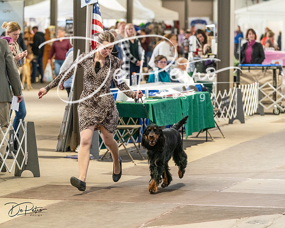 20240330-DSC09187