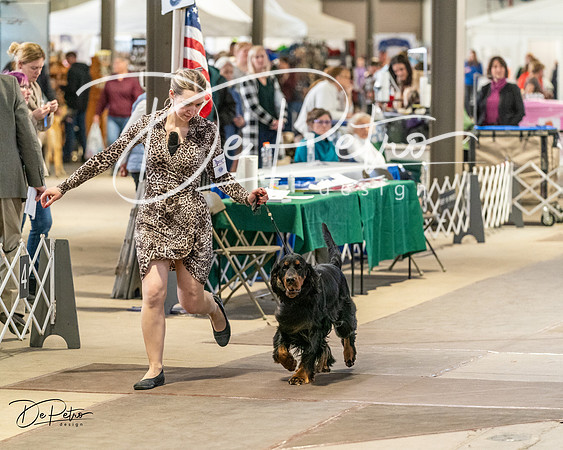 20240330-DSC09189